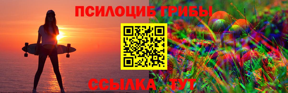 Псилоцибиновые грибы Cubensis Фролово